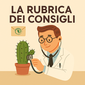 la rubrica dei consigli